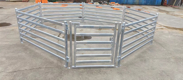 QQ图片20220627101404_副本